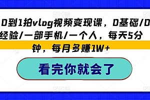 从0到1拍vlog视频变现课,0基础/0经验/一部手机/一个人,每天5分钟,每月多赚1W+