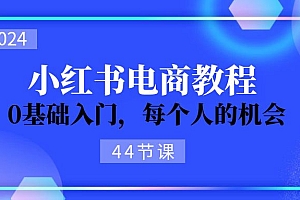 (11532期)2024从0-1学习小红书电商,0基础入门,每个人的机会(44节)