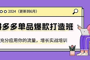 2024拼多多单品爆款打造班,充分应用你的流量,增长实战培训(更新6月)