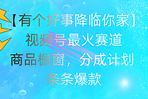 (11564期)有个好事 降临你家:视频号最火赛道,商品橱窗,分成计划 条条爆款,每…