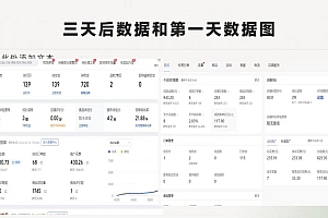 (11576期)拼多多-合作开店日入4000+两天销量过百单,无学费、老运营教操作、小白…