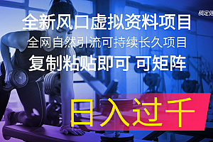 (11587期)全新风口虚拟资料项目 全网自然引流可持续长久项目 复制粘贴即可可矩阵…