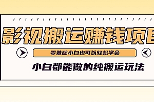 手把手教你操作影视搬运项目,小白都能做零基础也能赚钱