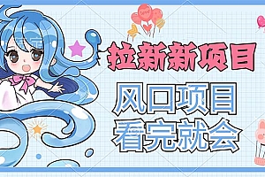 (11613期)拉新界的新玩法,风口项目,看完就会,动手就有