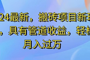 (11616期)2024最近,搬砖收益新玩法,动动手指日入300+,具有管道收益