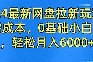 2024最新网盘拉新玩法,无需成本,0基础小白可做,轻松月入6000+【揭秘】