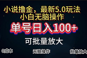 (11651期)全自动小说撸金,单号日入100+小白轻松上手,无脑操作
