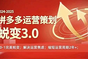 2024-2025拼多多运营策略蜕变3.0,0~1完美蜕变,解决信息焦虑