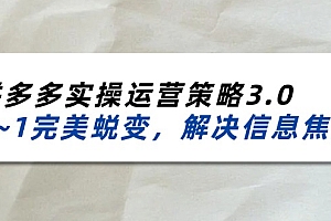 (11658期)2024_2025拼多多实操运营策略3.0,0~1完美蜕变,解决信息焦虑(38节)