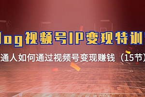 Vlog视频号IP变现特训营,普通人如何通过视频号变现赚钱(15节)