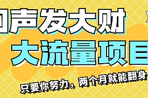 (11688期)闷声发大财,大流量项目,月收益过3万,只要你努力,两个月就能翻身