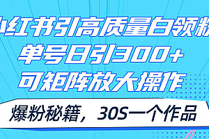 (11692期)小红书引高质量白领粉,单号日引300+,可放大操作,爆粉秘籍!30s一个作品