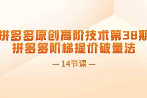 拼多多原创高阶技术第38期,拼多多阶梯提价破量法(14节课)