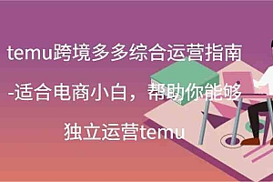 temu跨境多多综合运营指南-适合电商小白,帮助你能够独立运营temu(44节)