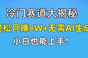 冷门赛道大揭秘,轻松月赚1W+无需AI生成,小白也能上手【揭秘】