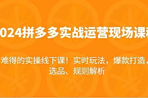 2024拼多多实战运营现场课,实时玩法,爆款打造,选品、规则解析,难得的实操线下课!