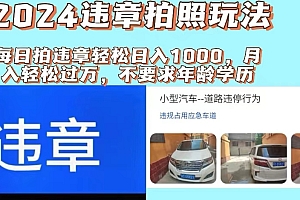 (11743期)2024违章拍照新玩法,推广躺赚+拍照赚钱双模式,日入1000+