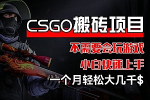 CSGO 装备搬砖项目,操作简单,不需要会玩游戏,小白也能快速上手,一个月轻松大几千【揭秘】