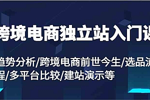 跨境电商独立站入门课:趋势分析/跨境电商前世今生/选品流程/多平台比较/建站演示等