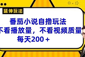 番茄小说自撸玩法,不看播放量,不看视频质量,每天200+【揭秘】