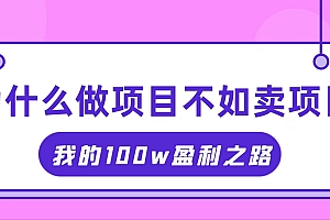 (11893期)抓住互联网创业红利期,我通过卖项目轻松赚取100W+