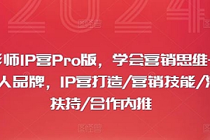 摄影师IP营Pro版,学会营销思维+打造个人品牌,IP营打造/营销技能/流量扶持/合作内推