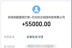 (11907期)短剧推广新思路,AI一键生成原创解说视频,10分钟产出100条,30天赚了5.5w
