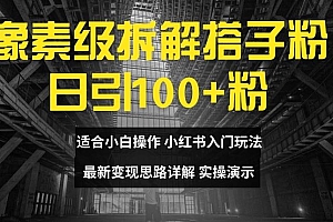 像素级拆解搭子粉,日引100+,小白看完可上手,最新变现思路详解【揭秘】
