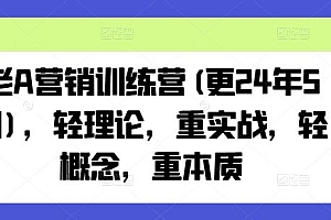 老A营销训练营(更24年7月),轻理论,重实战,轻概念,重本质
