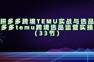 (11934期)拼多多跨境TEMU实战与选品,多多temu跨境选品运营实操(33节)