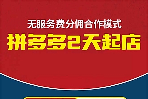 (11939期)拼多多2天起店,只合作不卖课不收费,上架产品无偿对接日入1000+