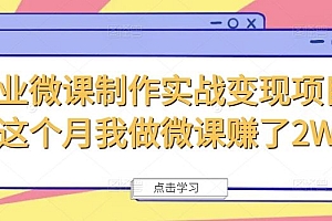 商业微课制作实战变现项目,这个月我做微课赚了2W+