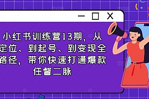 小红书训练营13期,从定位、到起号、到变现全路径,带你快速打通爆款任督二脉