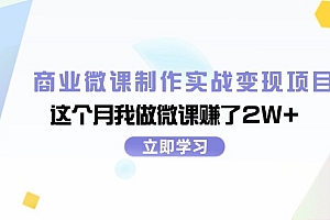 (11959期)商业微课制作实战变现项目,这个月我做微课赚了2W+