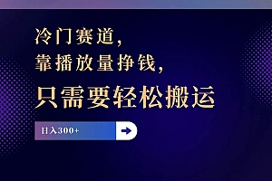 (11965期)冷门赛道,靠播放量挣钱,只需要轻松搬运,日赚300+