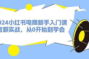 (11988期)2024小红书电商新手入门课,店群实战,从0开始到学会(31节)