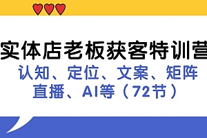 实体店老板获客特训营:认知、定位、文案、矩阵、直播、AI等(72节)
