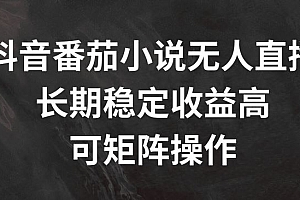 抖音番茄小说无人直播,长期稳定收益高,可矩阵操作【揭秘】