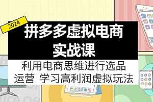 (12025期)拼多多虚拟电商实战课:虚拟资源选品+运营,高利润虚拟玩法(更新14节)
