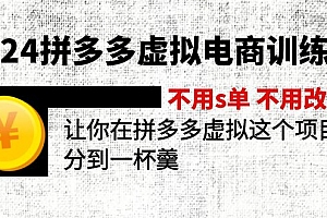 (12024期)2024拼多多虚拟电商训练营 不s单 不改销量  做虚拟项目分一杯羹(更新10节)