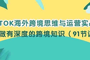 TIKTOK海外跨境思维与运营实战课,只做有深度的跨境知识(91节课)