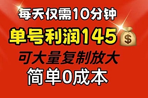 (12027期)每天仅需10分钟,单号利润145 可复制放大 简单0成本