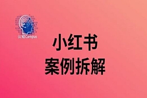 小红书案例拆解,深度解读小红书40万粉