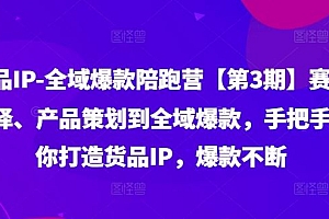 货品IP全域爆款陪跑营【第3期】赛道选择、产品策划到全域爆款,手把手教你打造货品IP,爆款不断