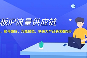 (12077期)老板 IP流量 供应链,动作越少,账号越好,万能模型,快速为产品获客翻N倍