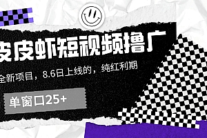 皮皮虾短视频撸广,单窗口收益25+!