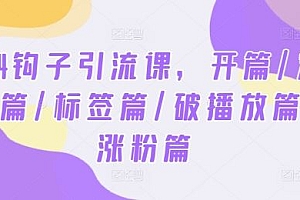 2024钩子引流课,开篇/定位篇/标签篇/破播放篇/涨粉篇