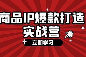 (12136期)商品-IP爆款打造实战营【第四期】,手把手教你打造商品IP,爆款 不断