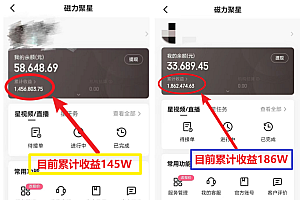 (12144期)1天收益3000+,月收益10万以上,24年8月份爆火项目