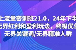 线上流量密训班21.0,24年下半年-无界红利和盈利玩法,终极优化/无界关键词/无界精准人群